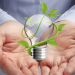 Eco Friendly Light Bulbs