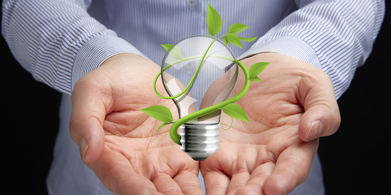 Eco Friendly Light Bulbs
