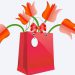 Eco Friendly Gifts